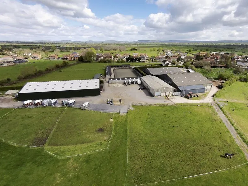 Aerial view of the paddocks and arenas at Hill Farm
